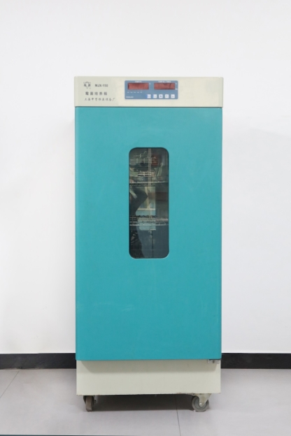 Bacterial Incubator